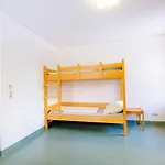 Hostel Falkenberg Falkenberg (Tirschenreuth)